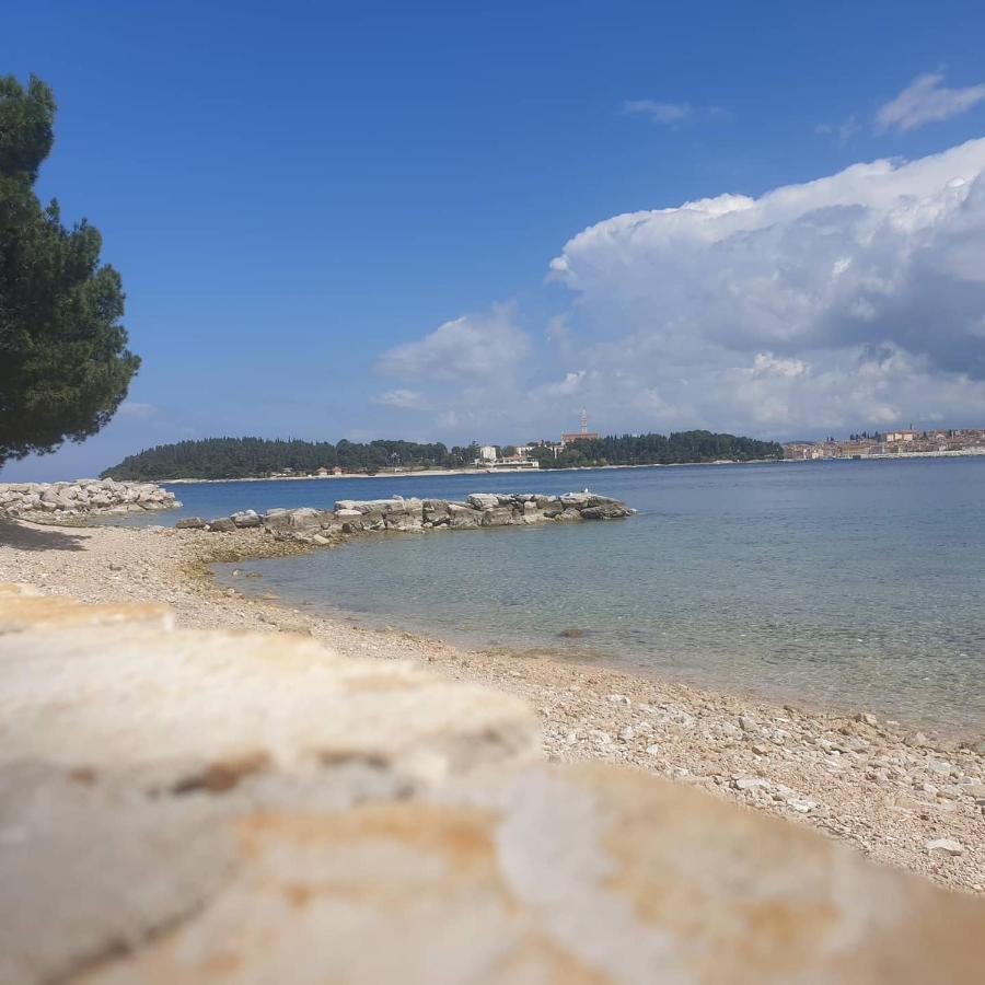 Vila Tena Rovinj Croatia Exterior photo